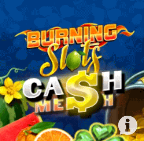 play Burning Slots in spinorhino casino
